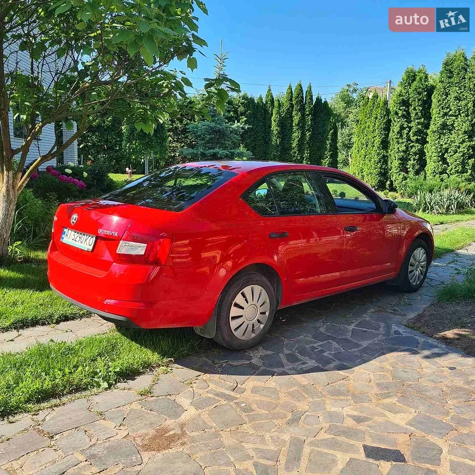 2017 Skoda Octavia - мініатюра 25