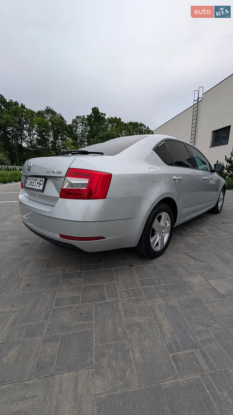 2017 Skoda Octavia - мініатюра 5