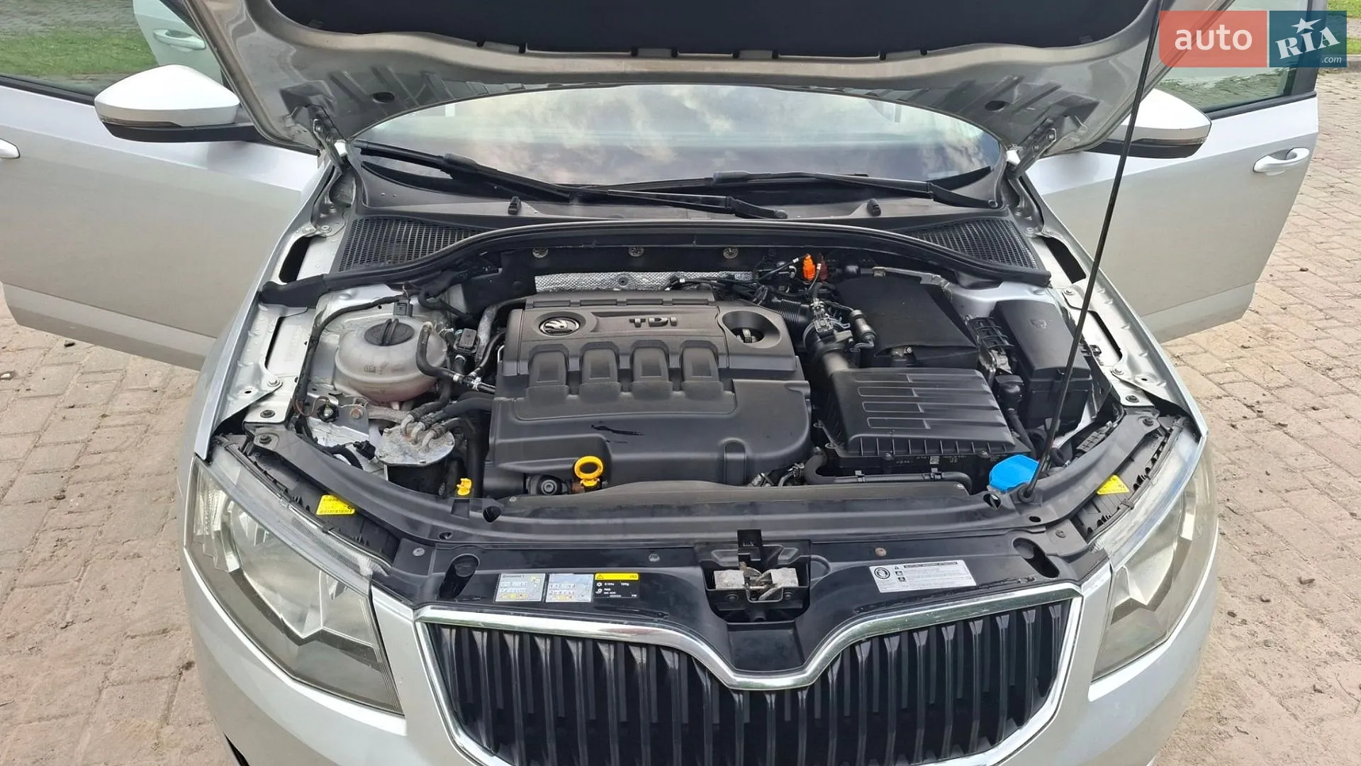 2013 Skoda Octavia - мініатюра 6