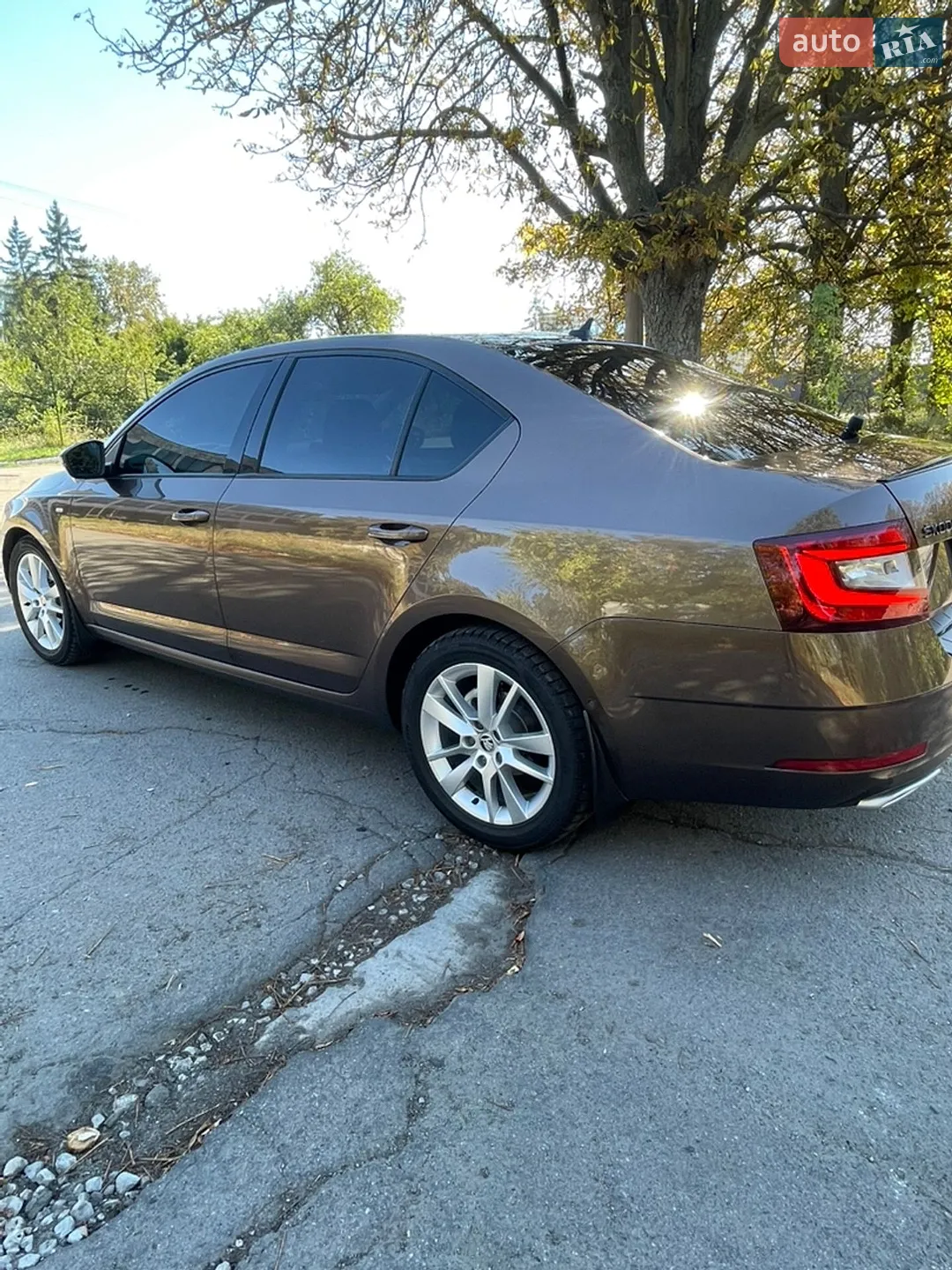 2018 Skoda Octavia - мініатюра 7