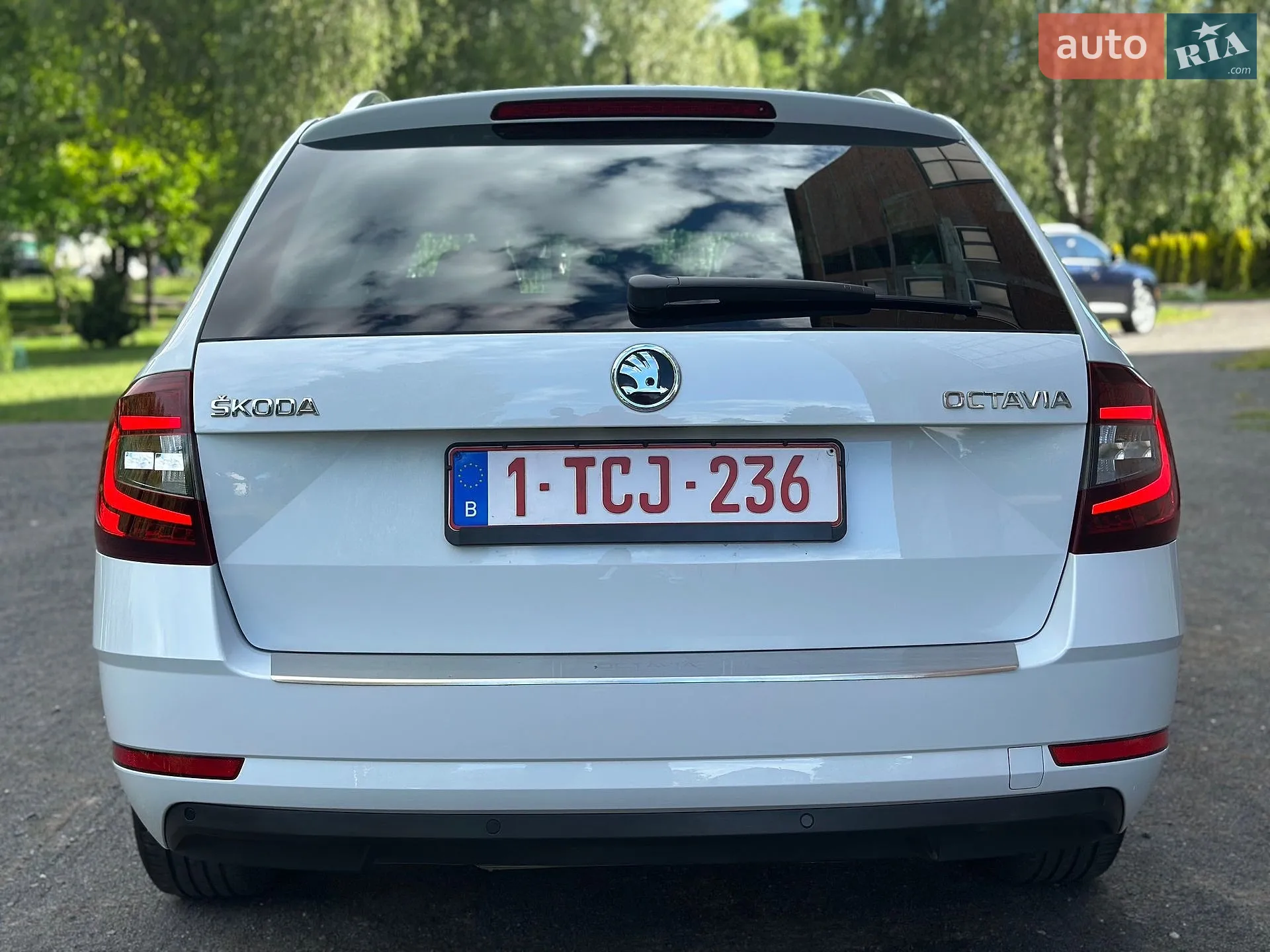 2019 Skoda Octavia - мініатюра 18