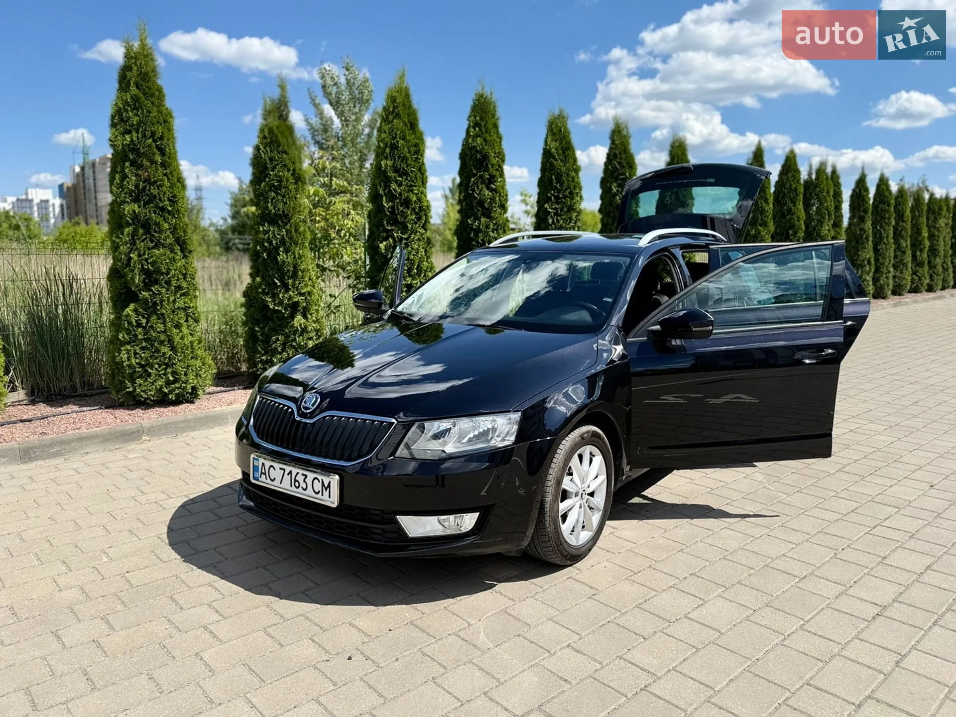 2013 Skoda Octavia - фото 1