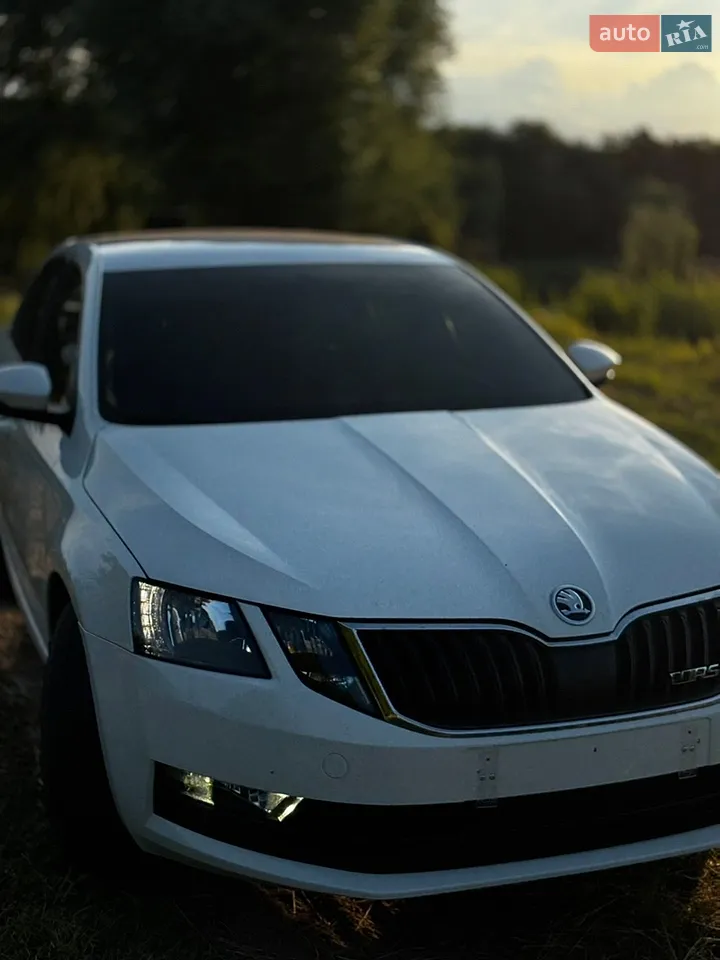 2018 Skoda Octavia - мініатюра 41