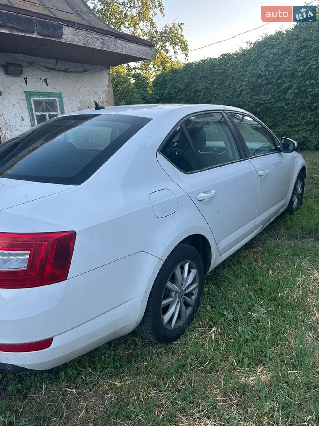 2013 Skoda Octavia - мініатюра 3