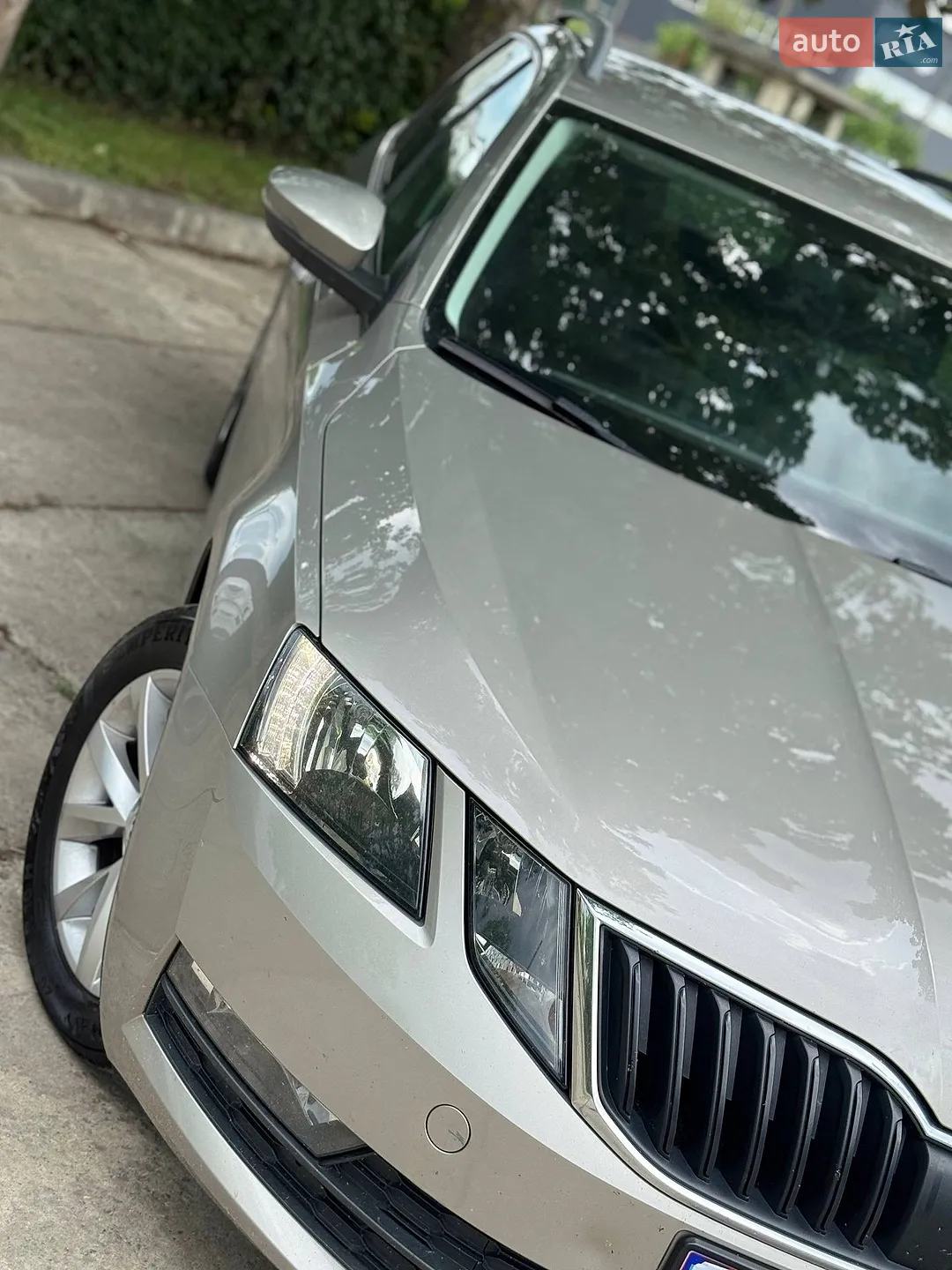 2019 Skoda Octavia - мініатюра 11