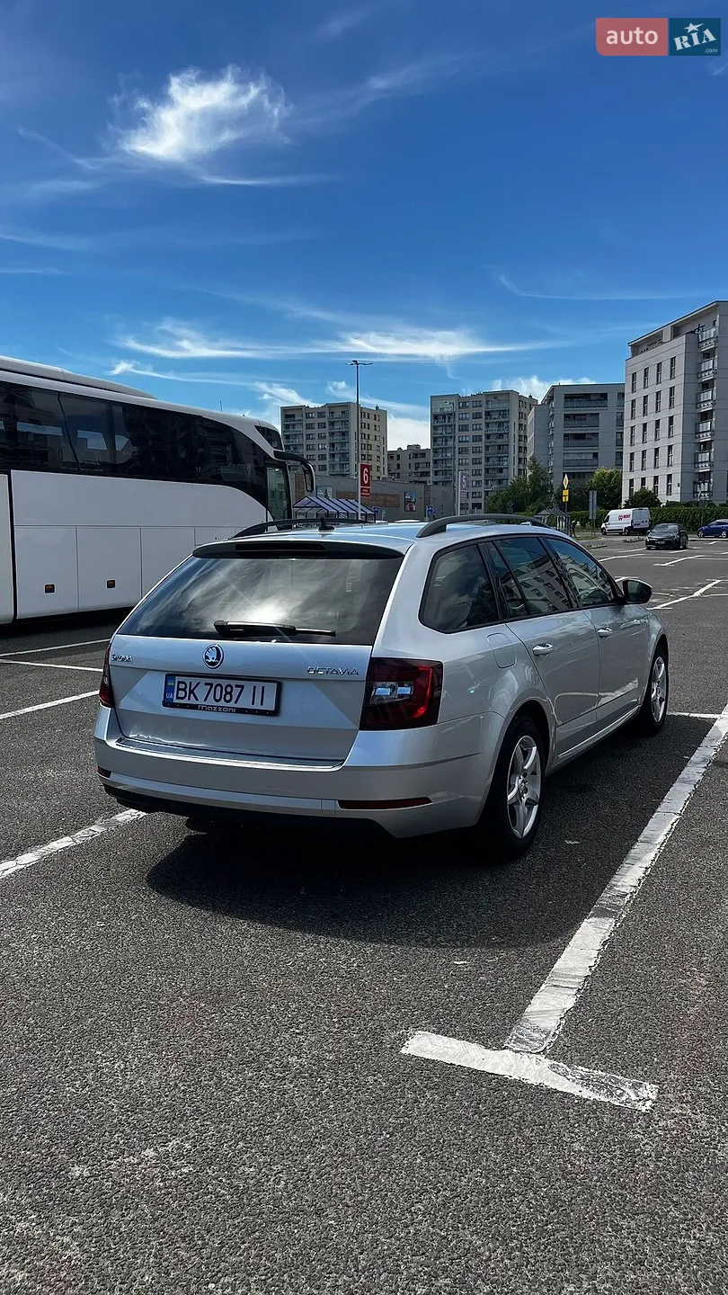 2019 Skoda Octavia - мініатюра 15