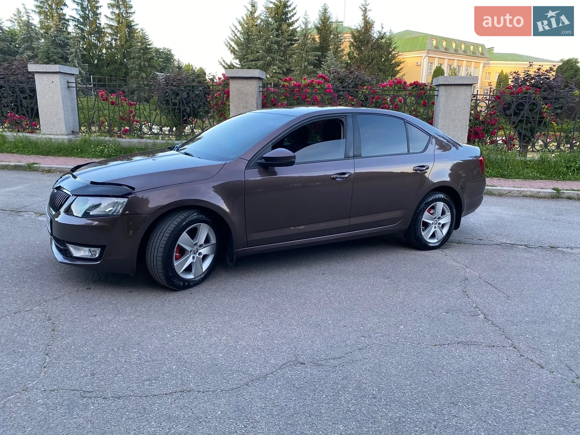 2013 Skoda Octavia - мініатюра 4