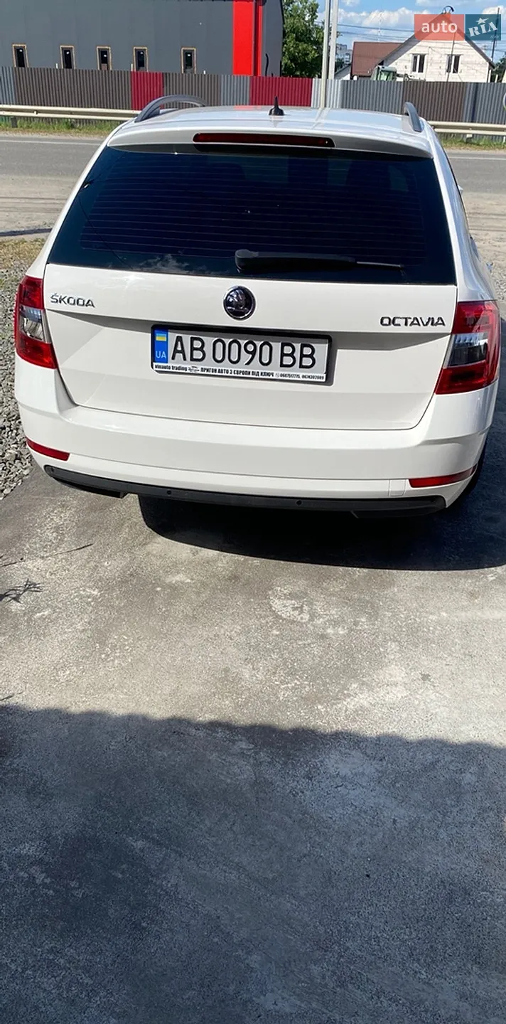 2019 Skoda Octavia - мініатюра 4