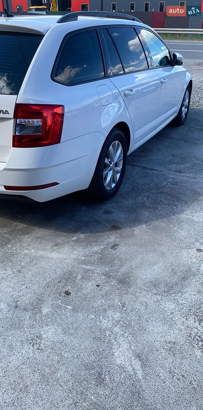 2019 Skoda Octavia - мініатюра 3
