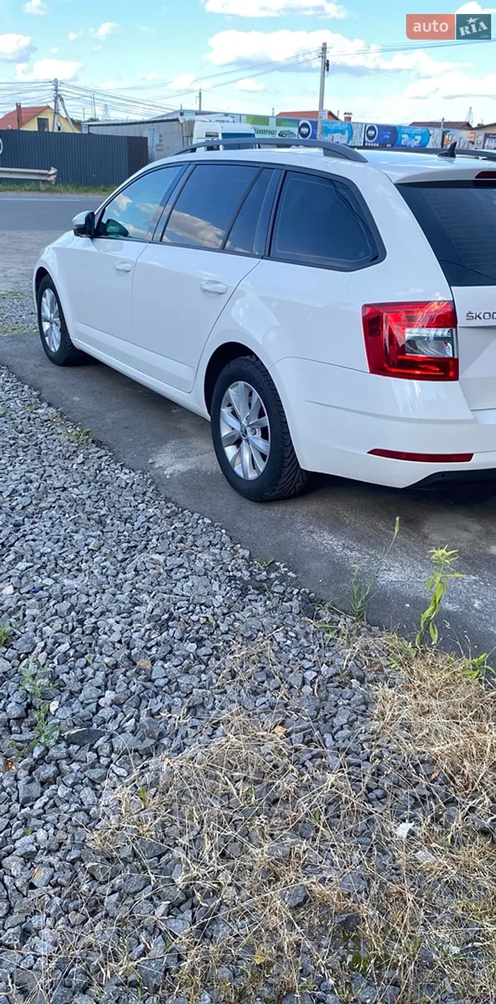 2019 Skoda Octavia - мініатюра 20