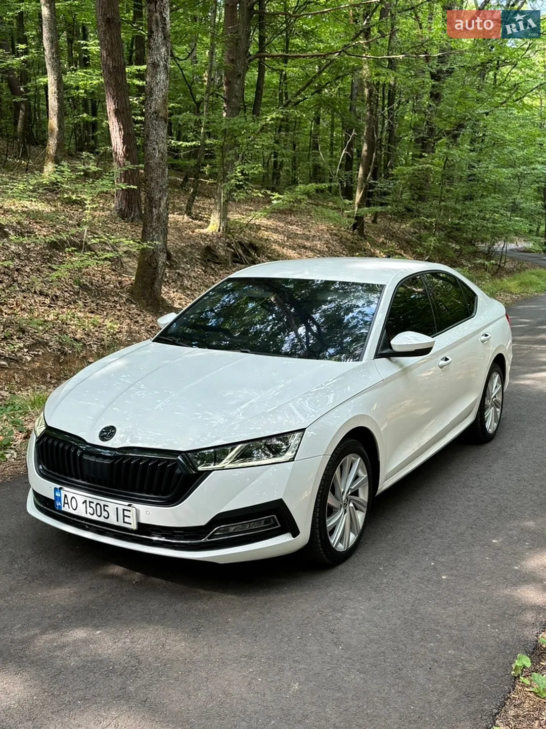 2020 Skoda Octavia - фото 1