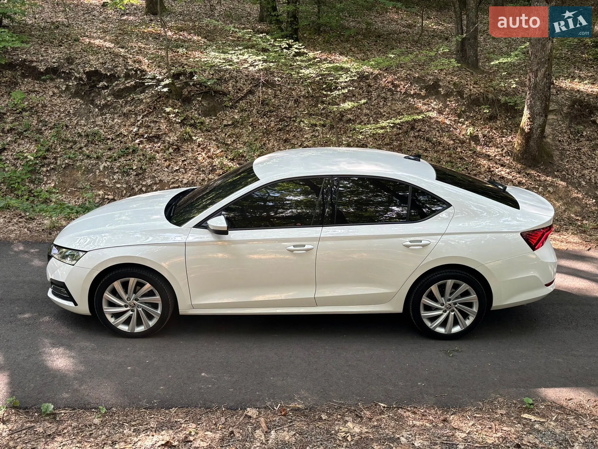 2020 Skoda Octavia - мініатюра 14