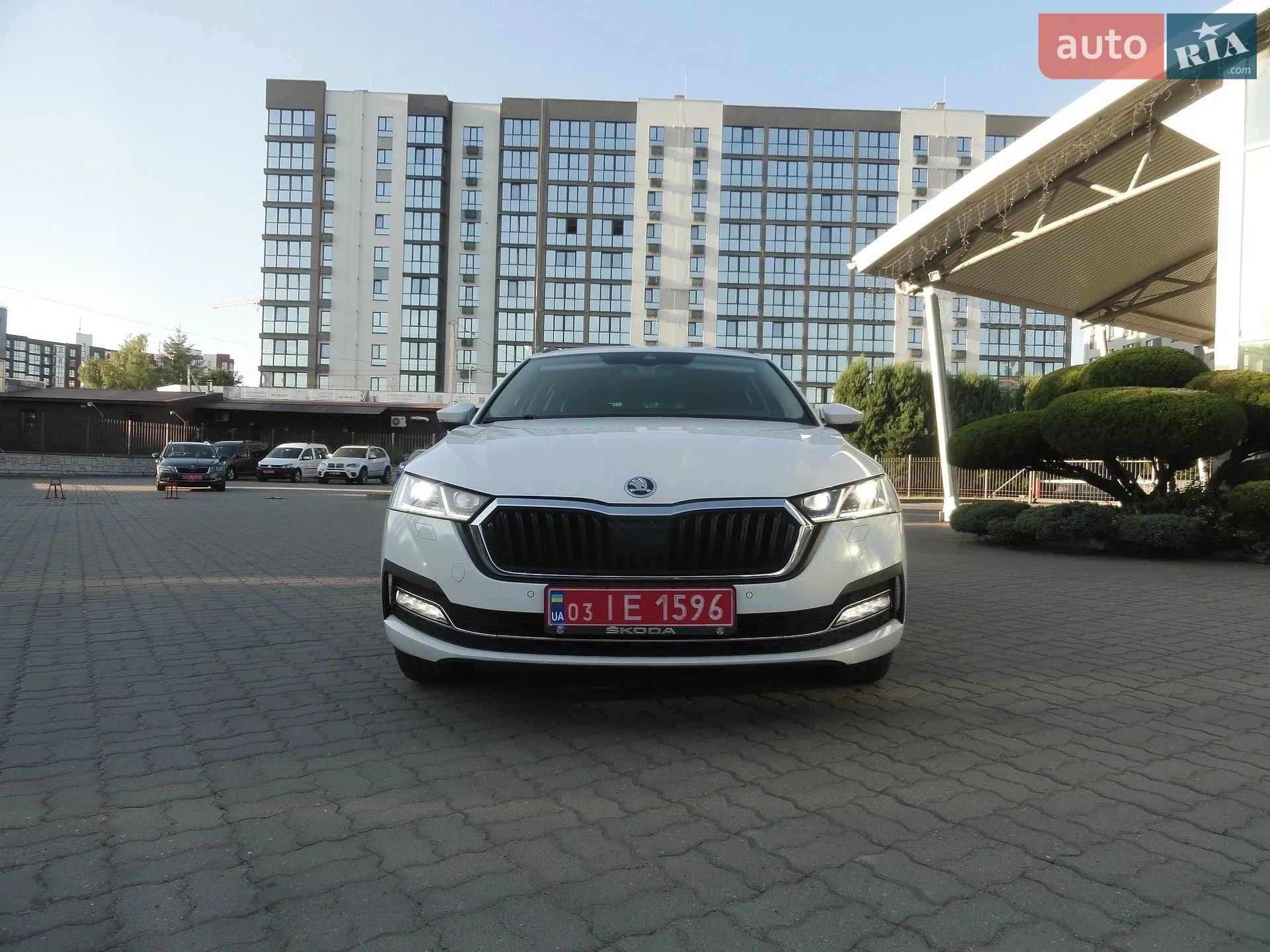 2021 Skoda Octavia - мініатюра 19