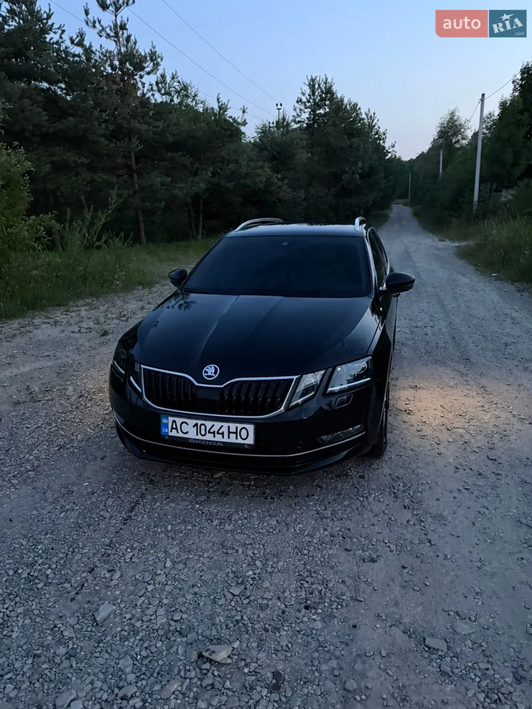 2019 Skoda Octavia - фото 1