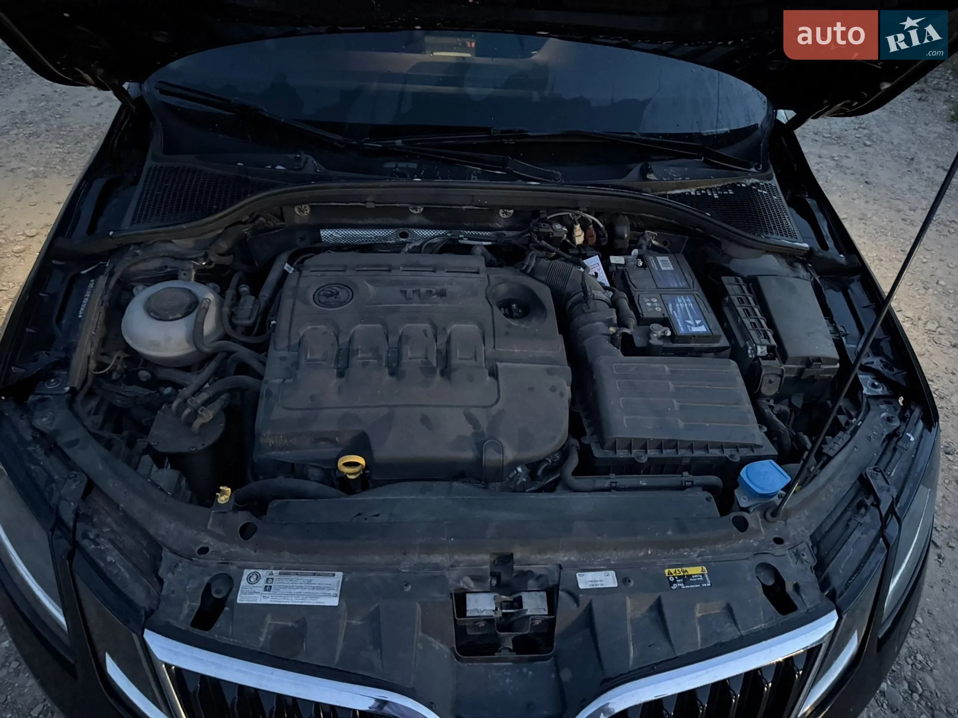 2019 Skoda Octavia - мініатюра 11
