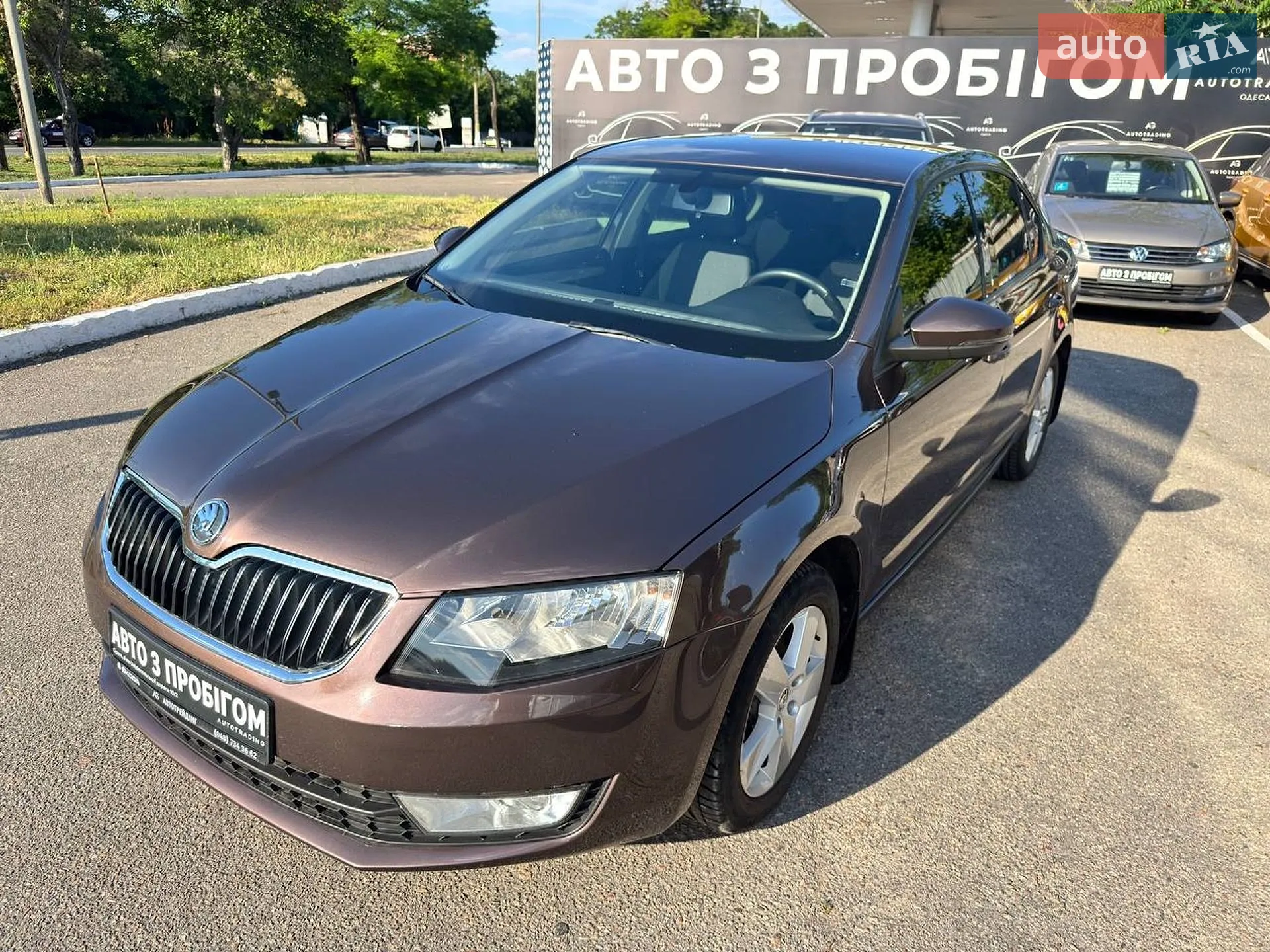 2014 Skoda Octavia - мініатюра 3