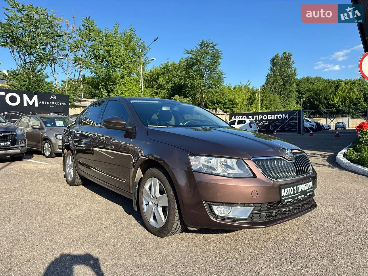 2015 Skoda Octavia - мініатюра 14