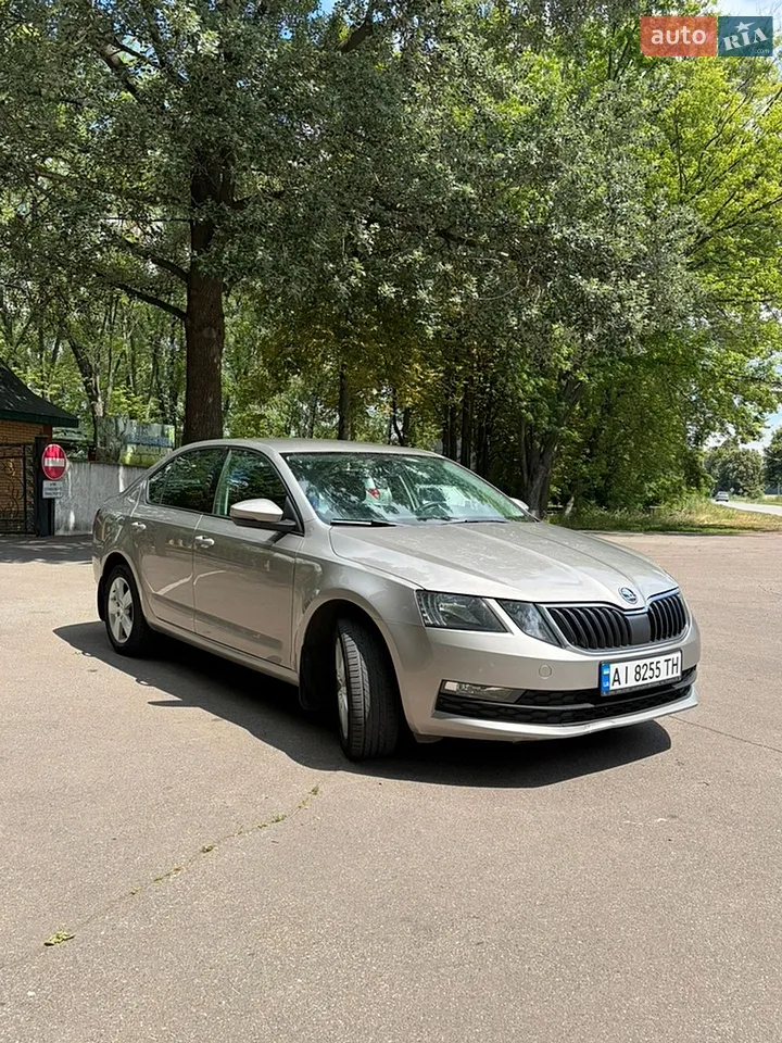 2017 Skoda Octavia - мініатюра 10