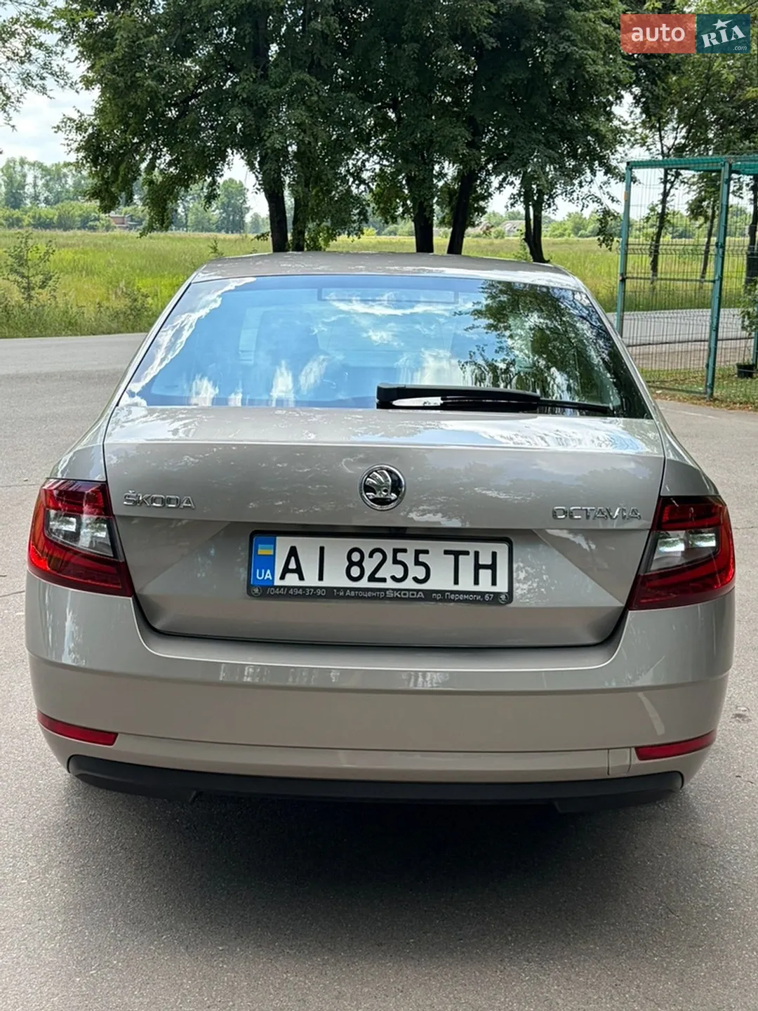 2017 Skoda Octavia - мініатюра 5