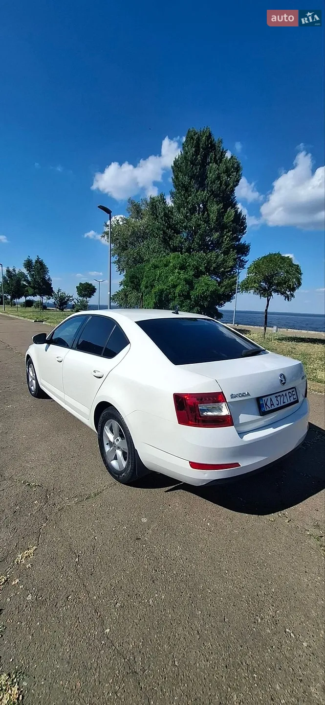 2016 Skoda Octavia - мініатюра 10