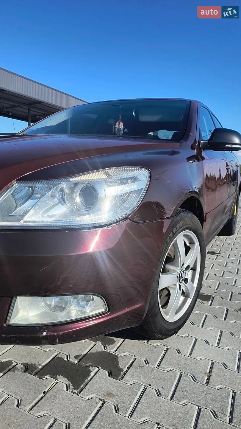 2010 Skoda Octavia - мініатюра 6