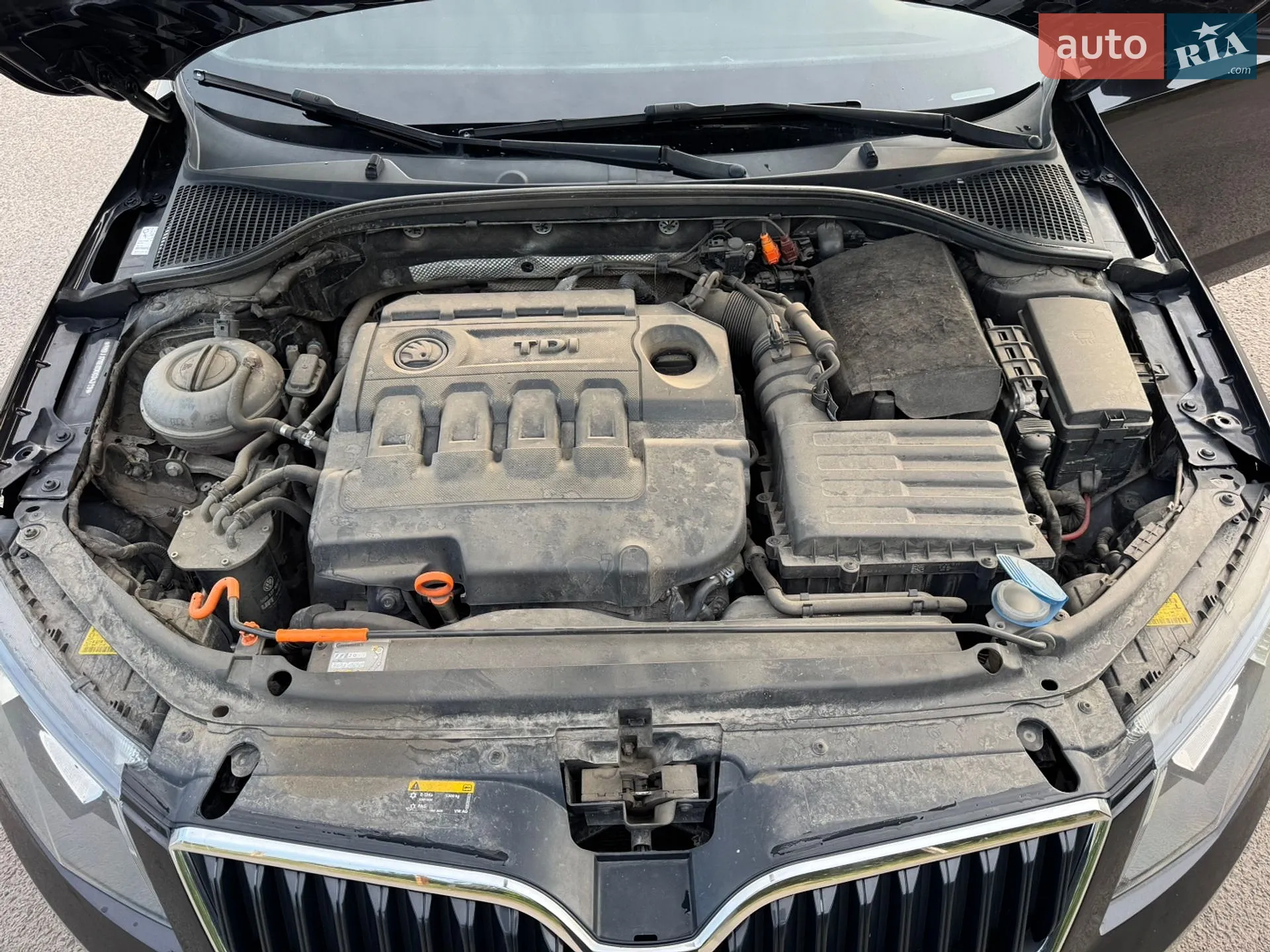 2013 Skoda Octavia - мініатюра 16