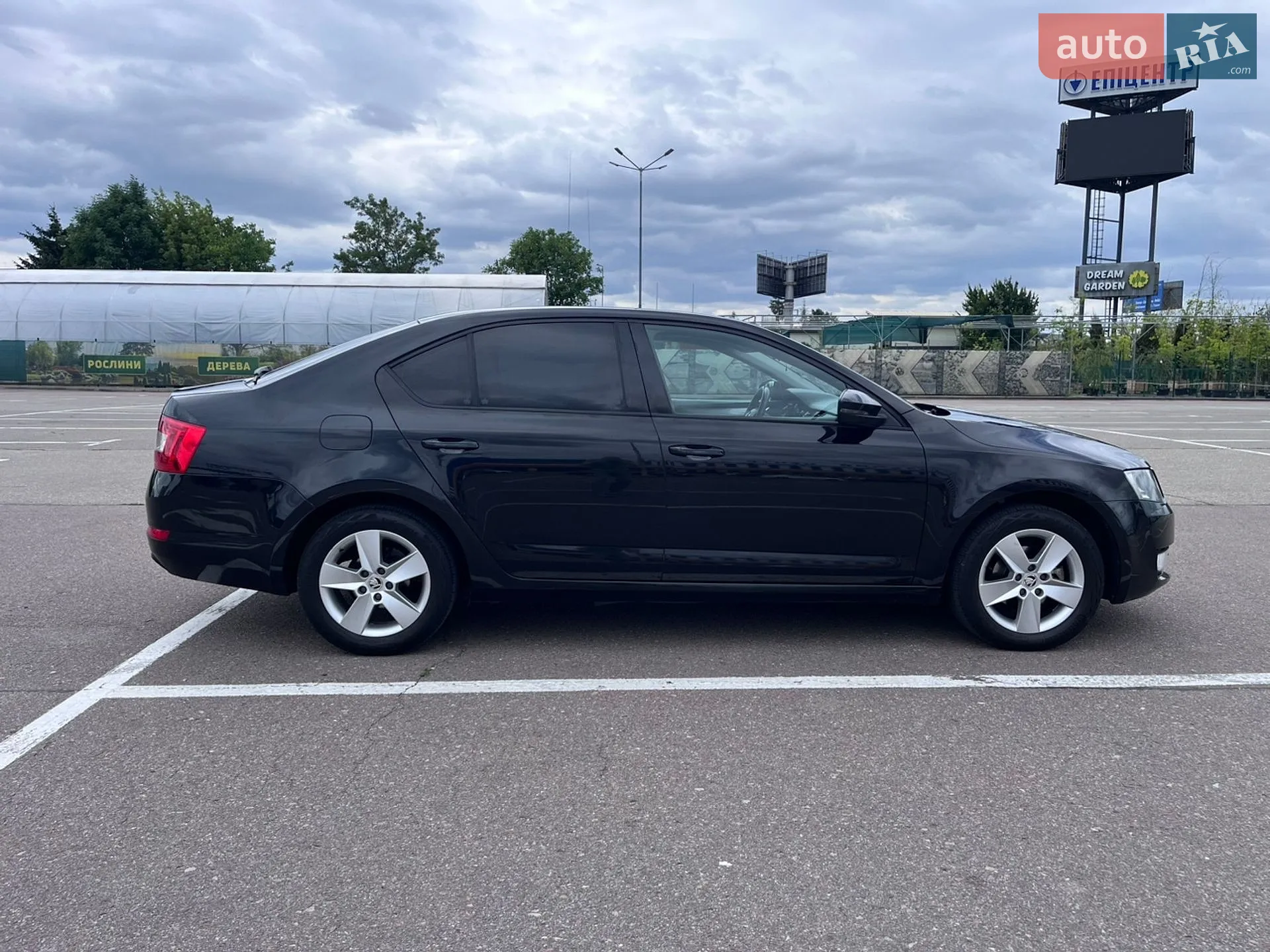 2014 Skoda Octavia - мініатюра 11
