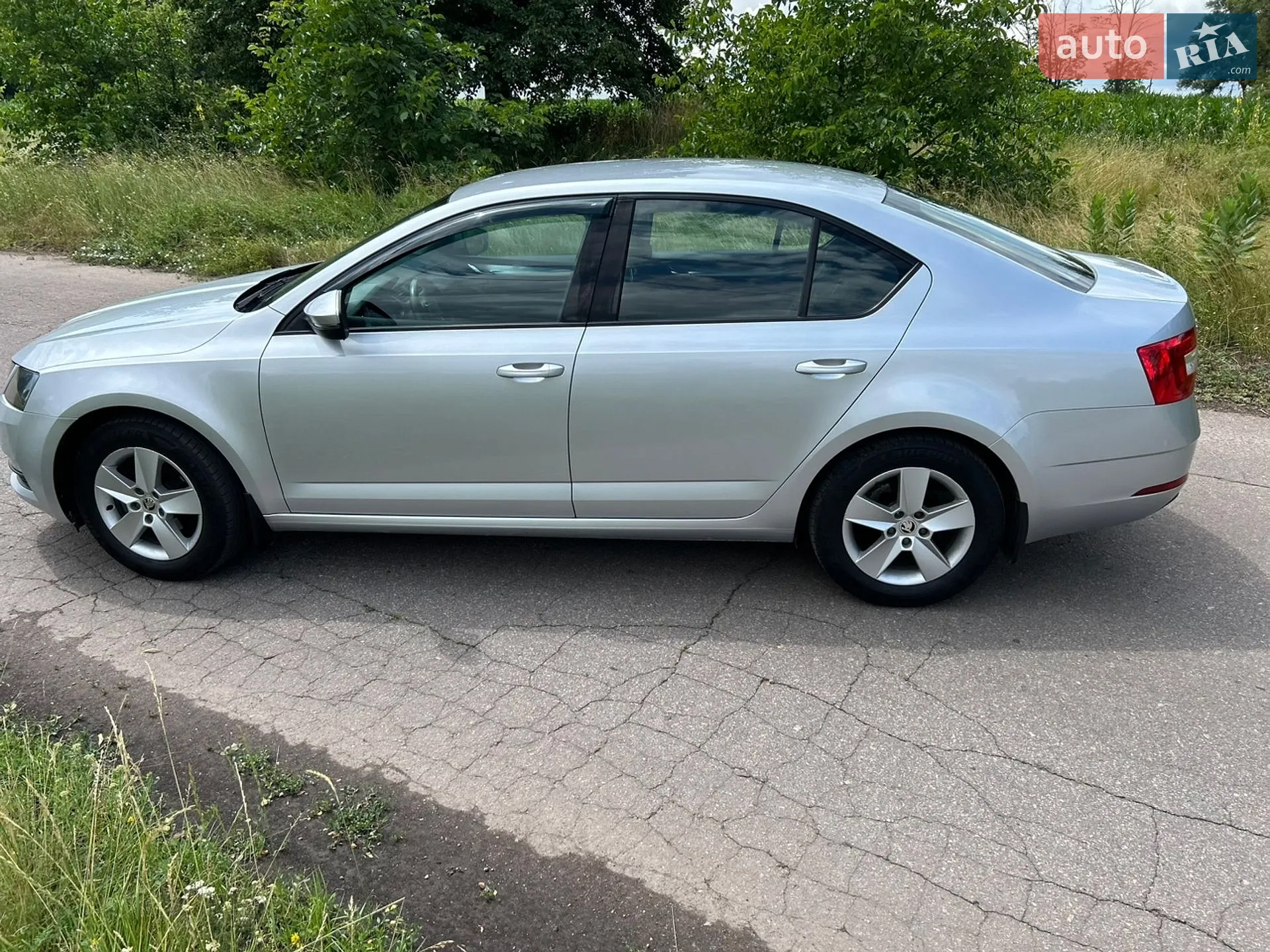 2017 Skoda Octavia - мініатюра 6
