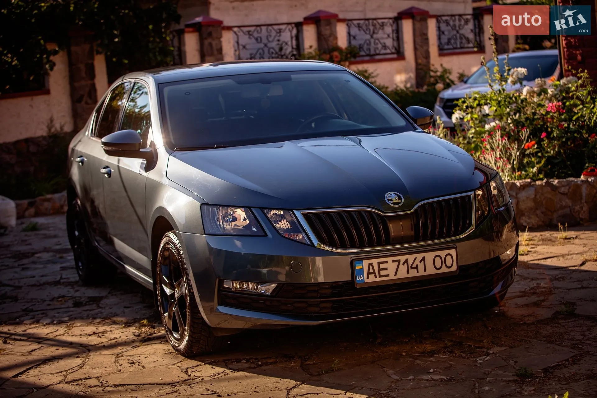2019 Skoda Octavia - мініатюра 2