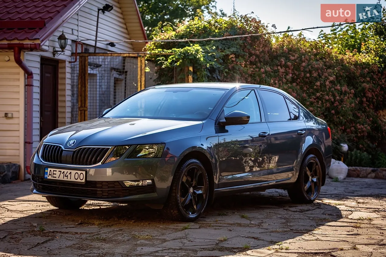 2019 Skoda Octavia - мініатюра 16