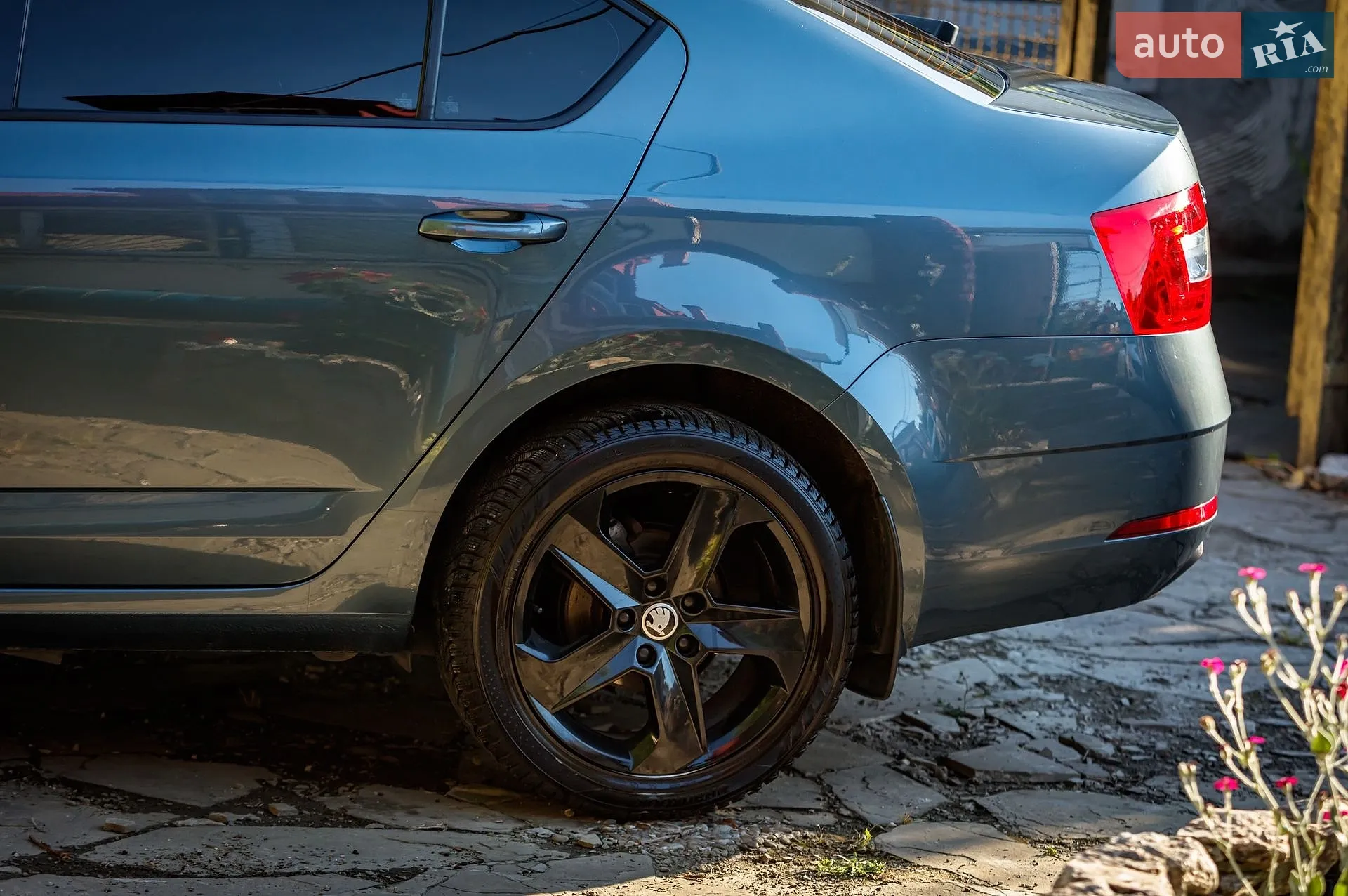 2019 Skoda Octavia - мініатюра 7