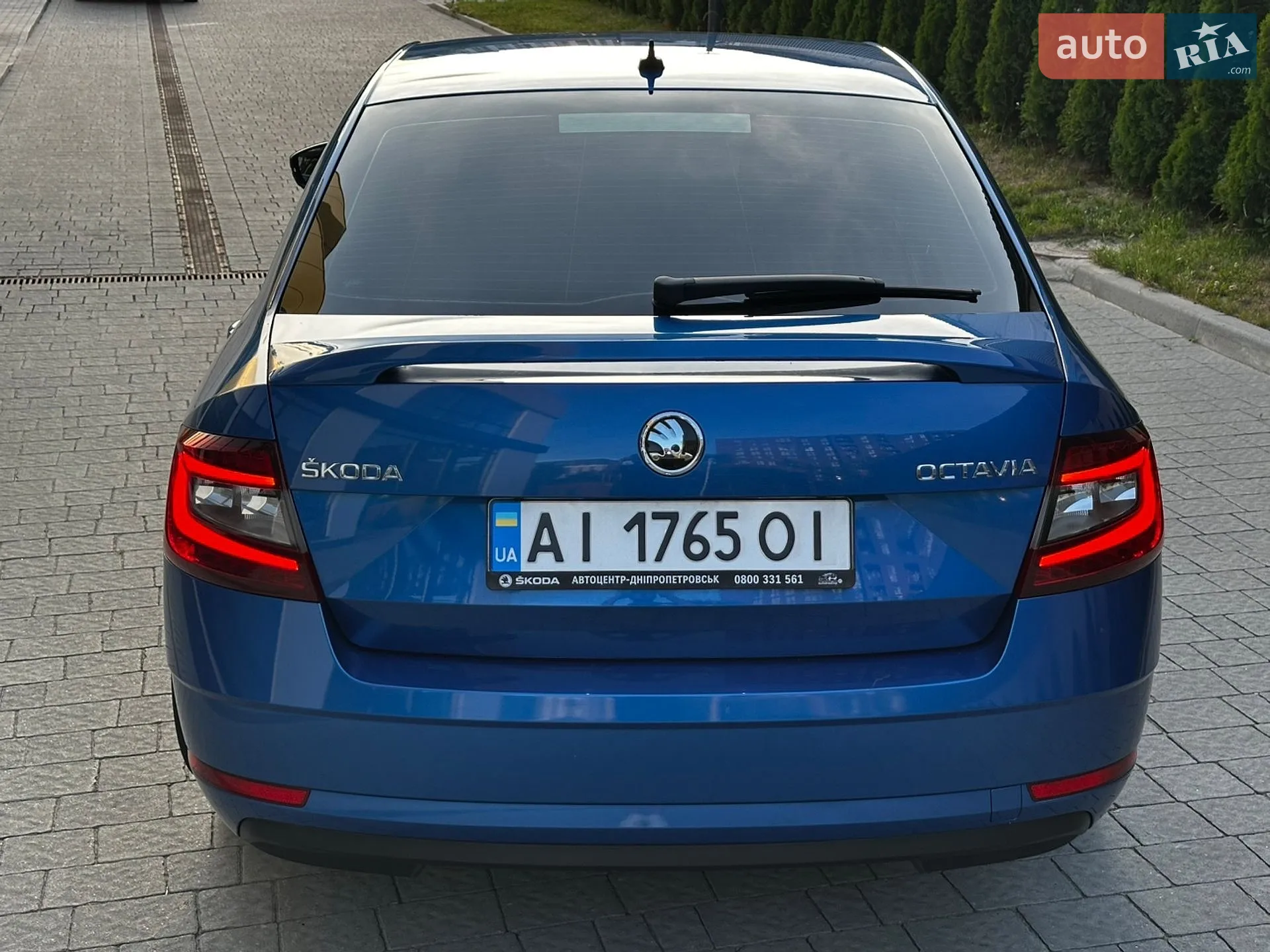 2019 Skoda Octavia - мініатюра 3