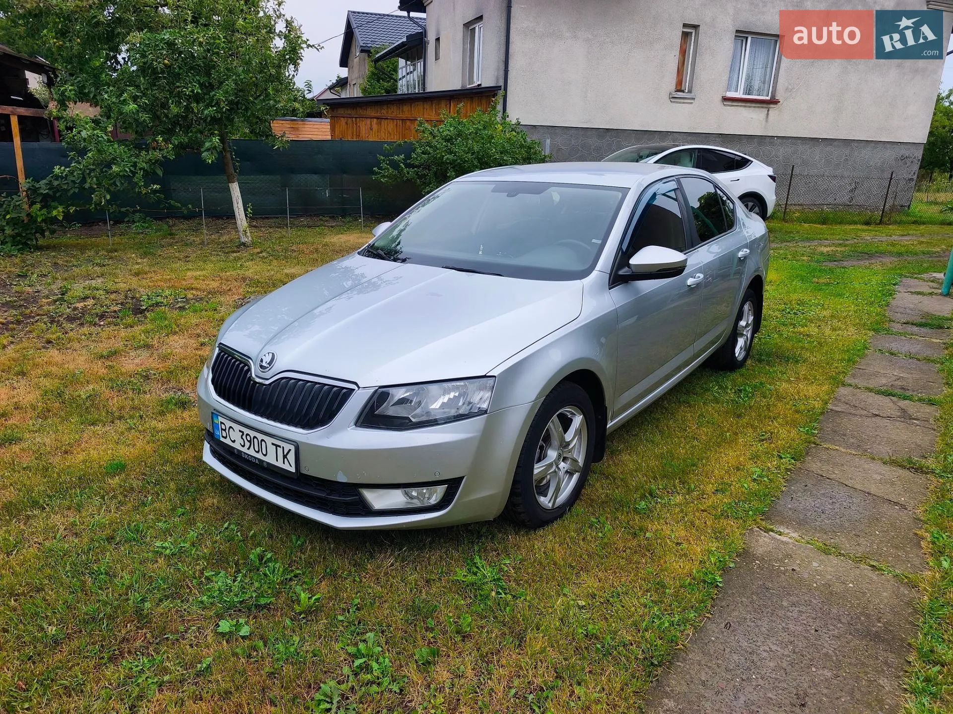 2013 Skoda Octavia - фото 1