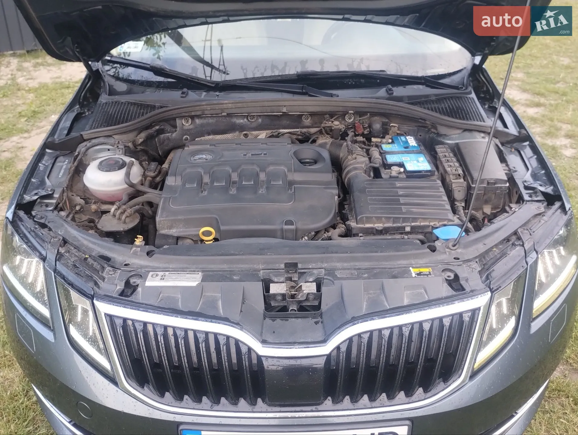 2017 Skoda Octavia - мініатюра 29