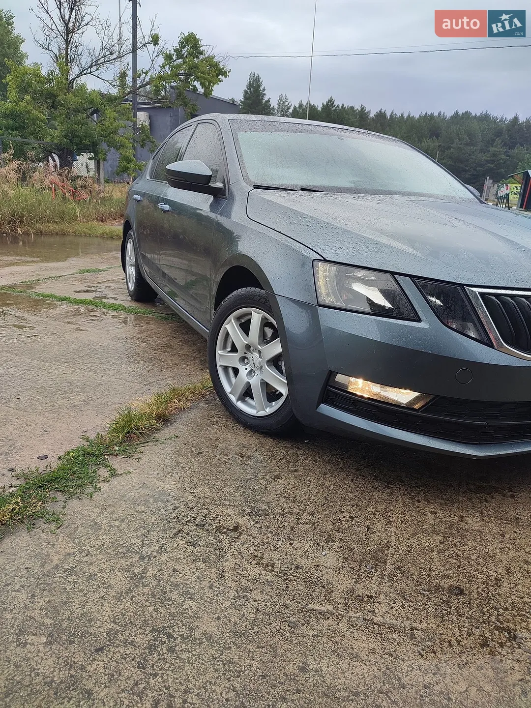 2018 Skoda Octavia - мініатюра 4