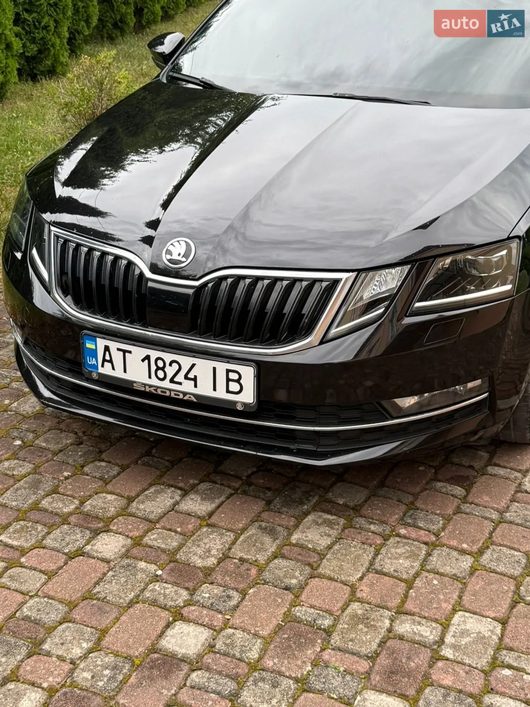 2017 Skoda Octavia - мініатюра 9