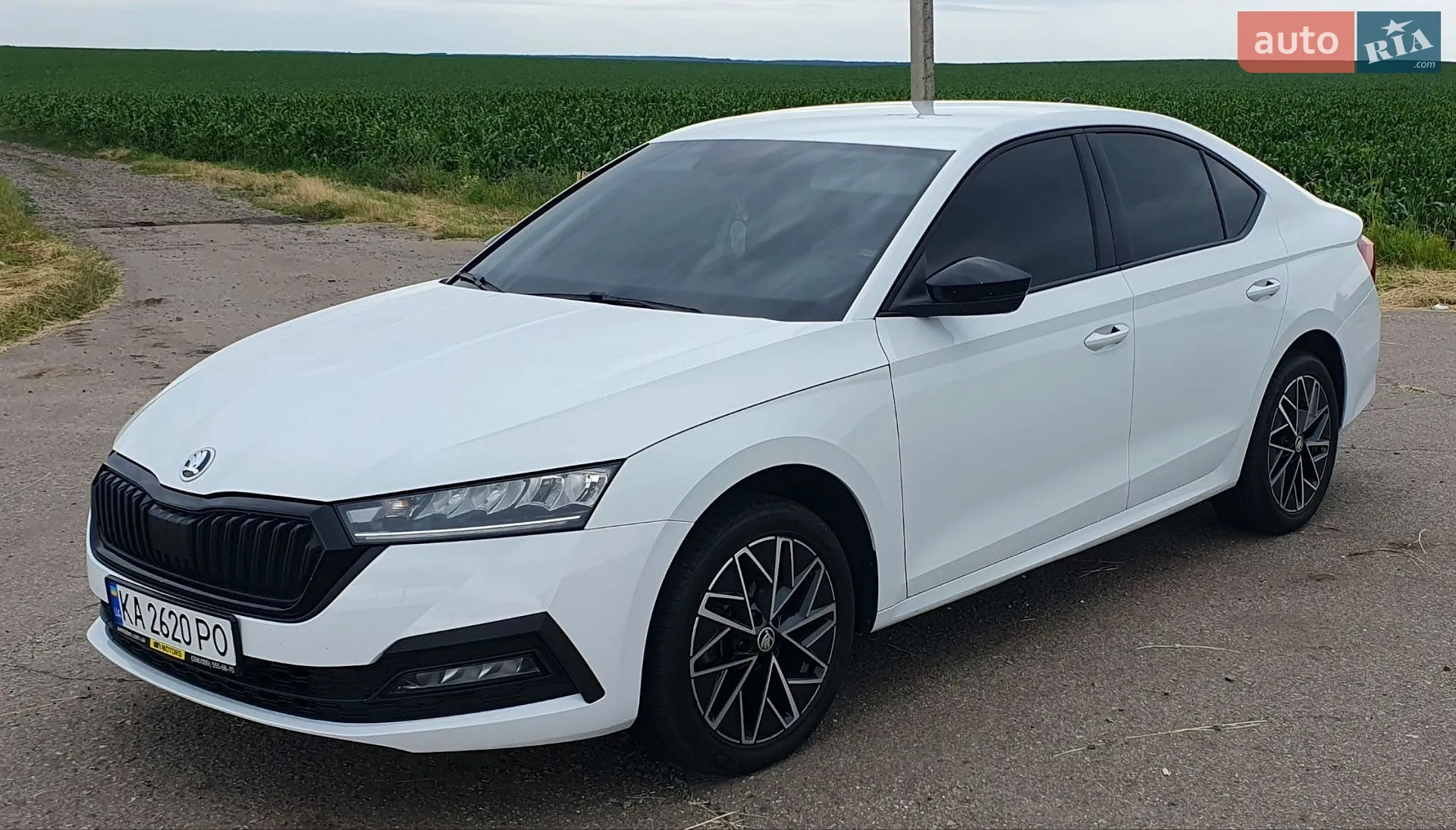 2020 Skoda Octavia - мініатюра 31