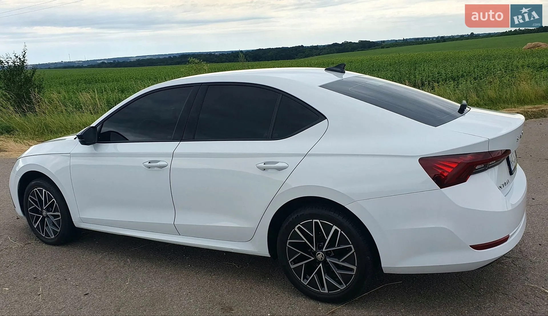 2020 Skoda Octavia - мініатюра 35