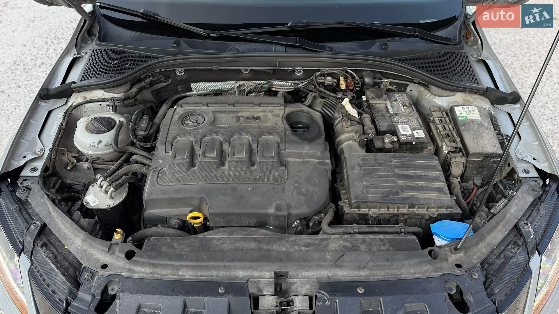 2019 Skoda Octavia - мініатюра 57