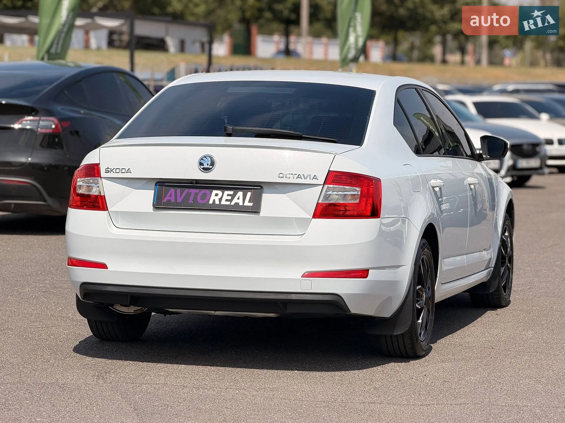 2014 Skoda Octavia - мініатюра 20