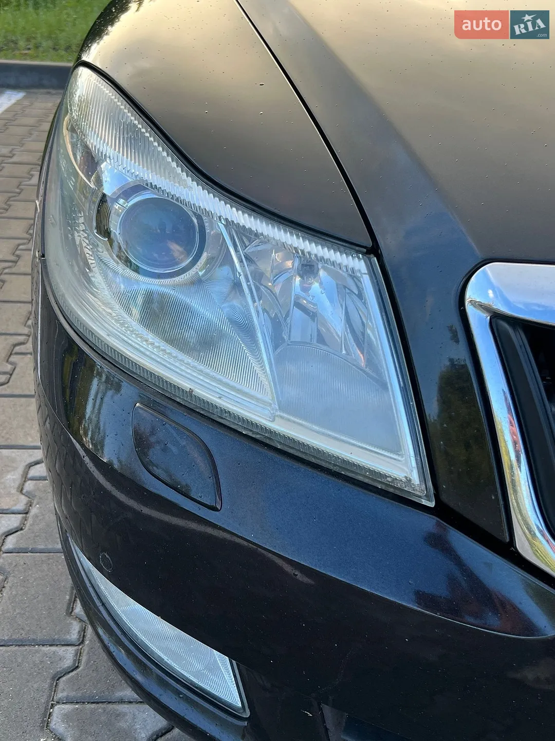 2010 Skoda Octavia - мініатюра 10