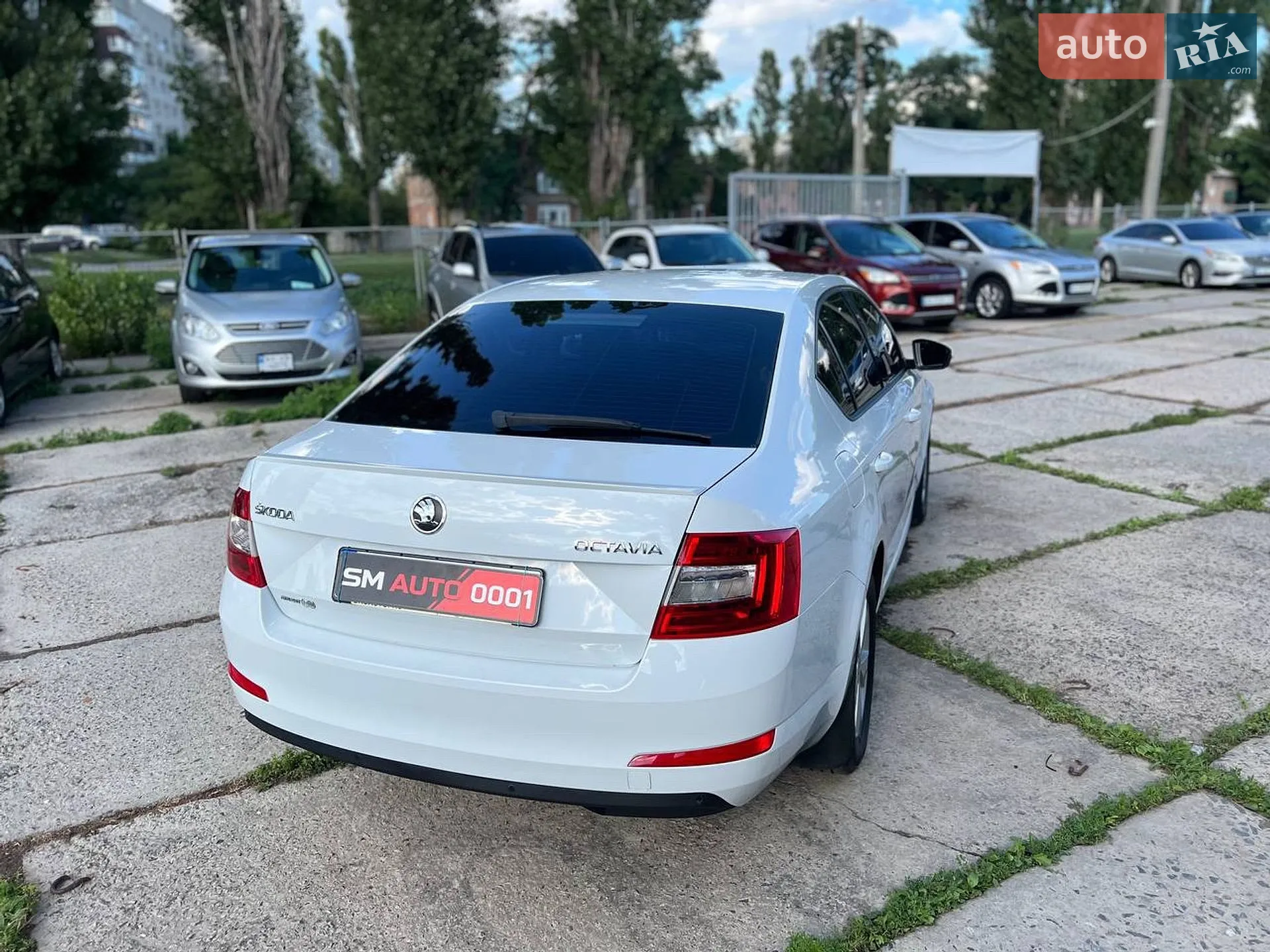 2014 Skoda Octavia - мініатюра 6