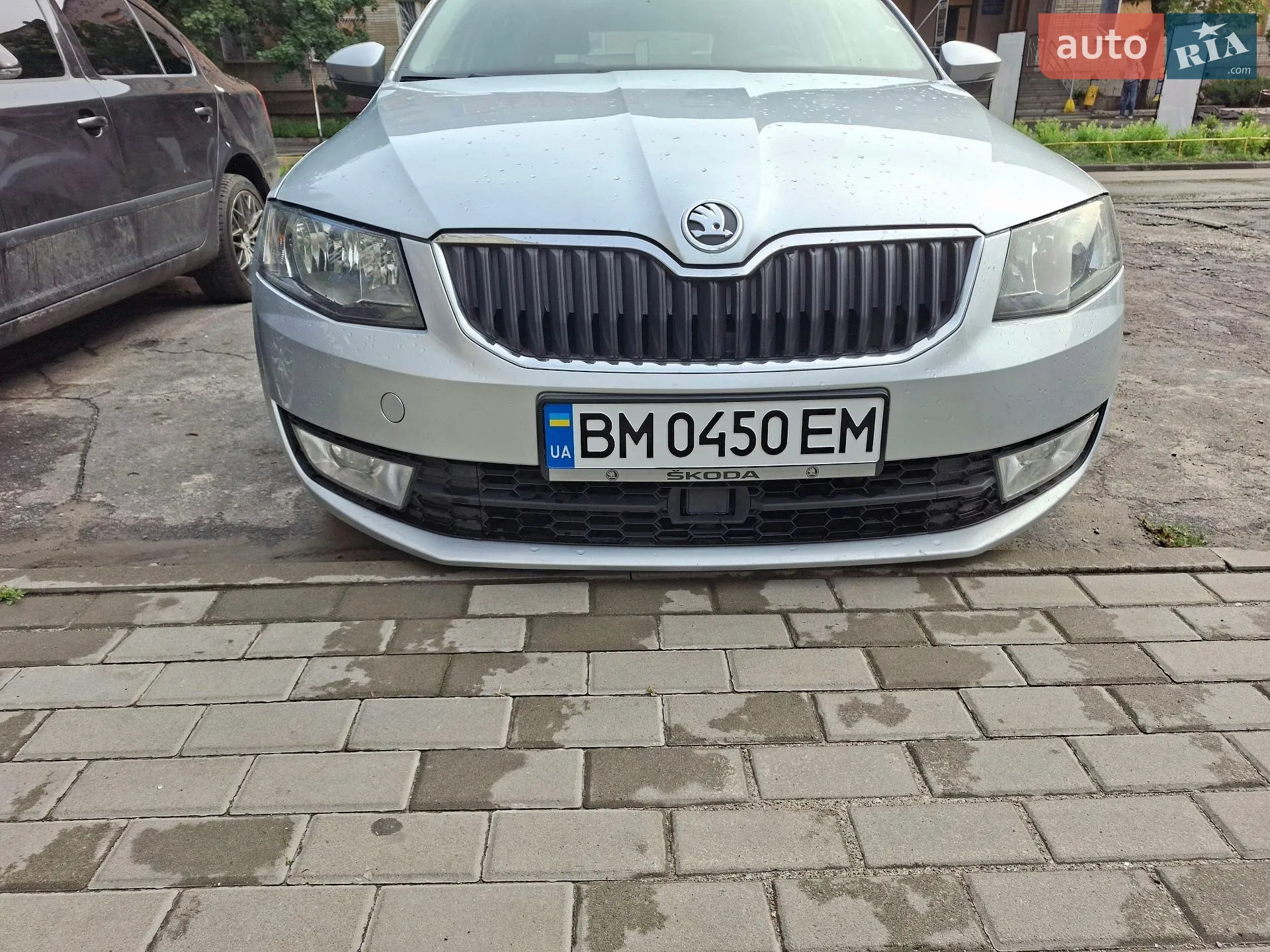 2013 Skoda Octavia - мініатюра 2