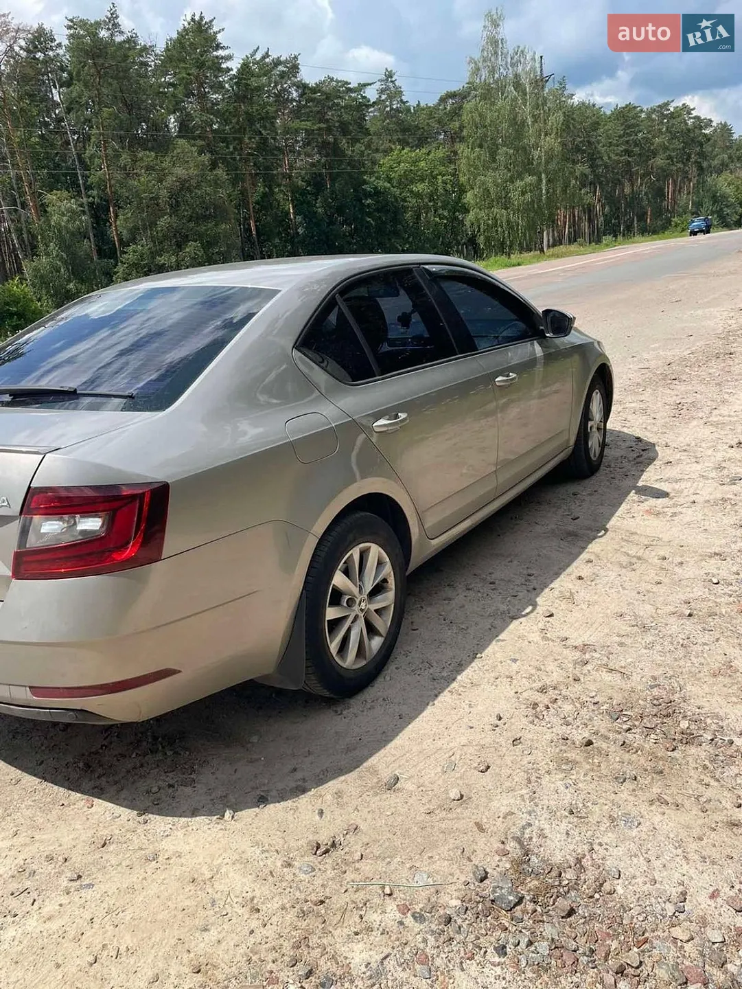 2017 Skoda Octavia - мініатюра 3