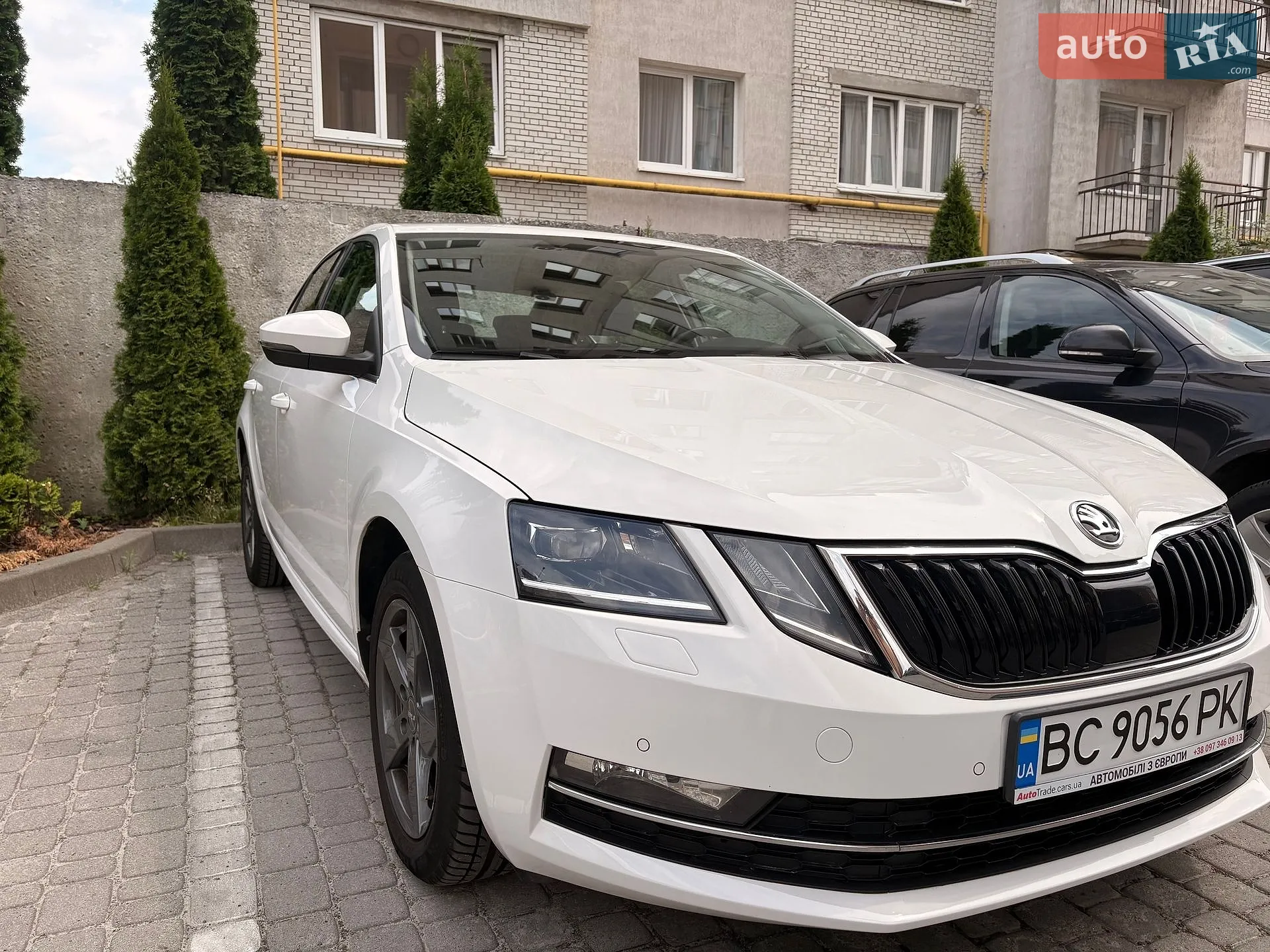 2018 Skoda Octavia - мініатюра 5