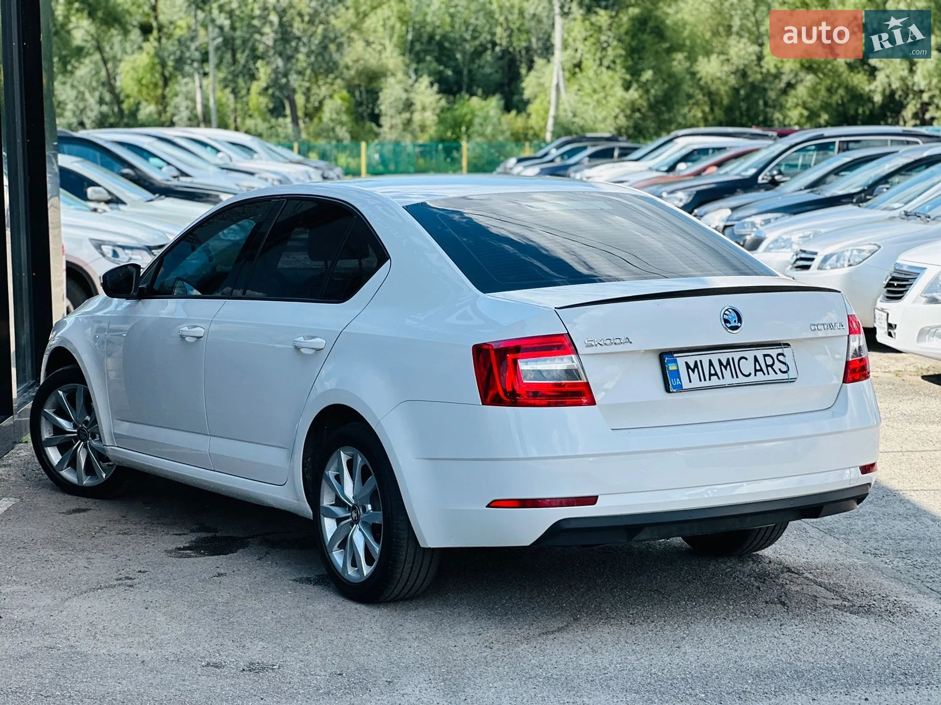 2019 Skoda Octavia - мініатюра 12
