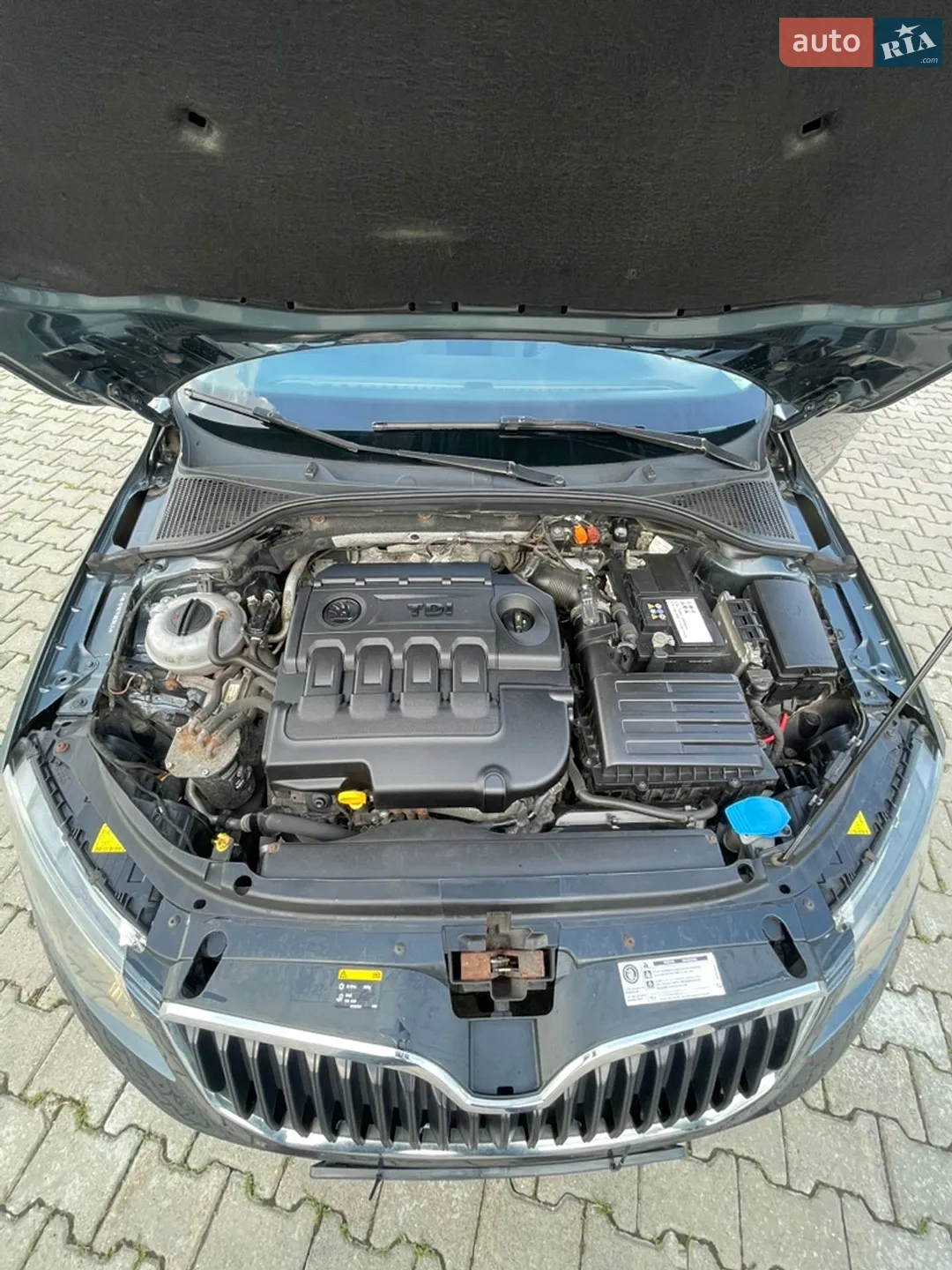 2014 Skoda Octavia - мініатюра 7