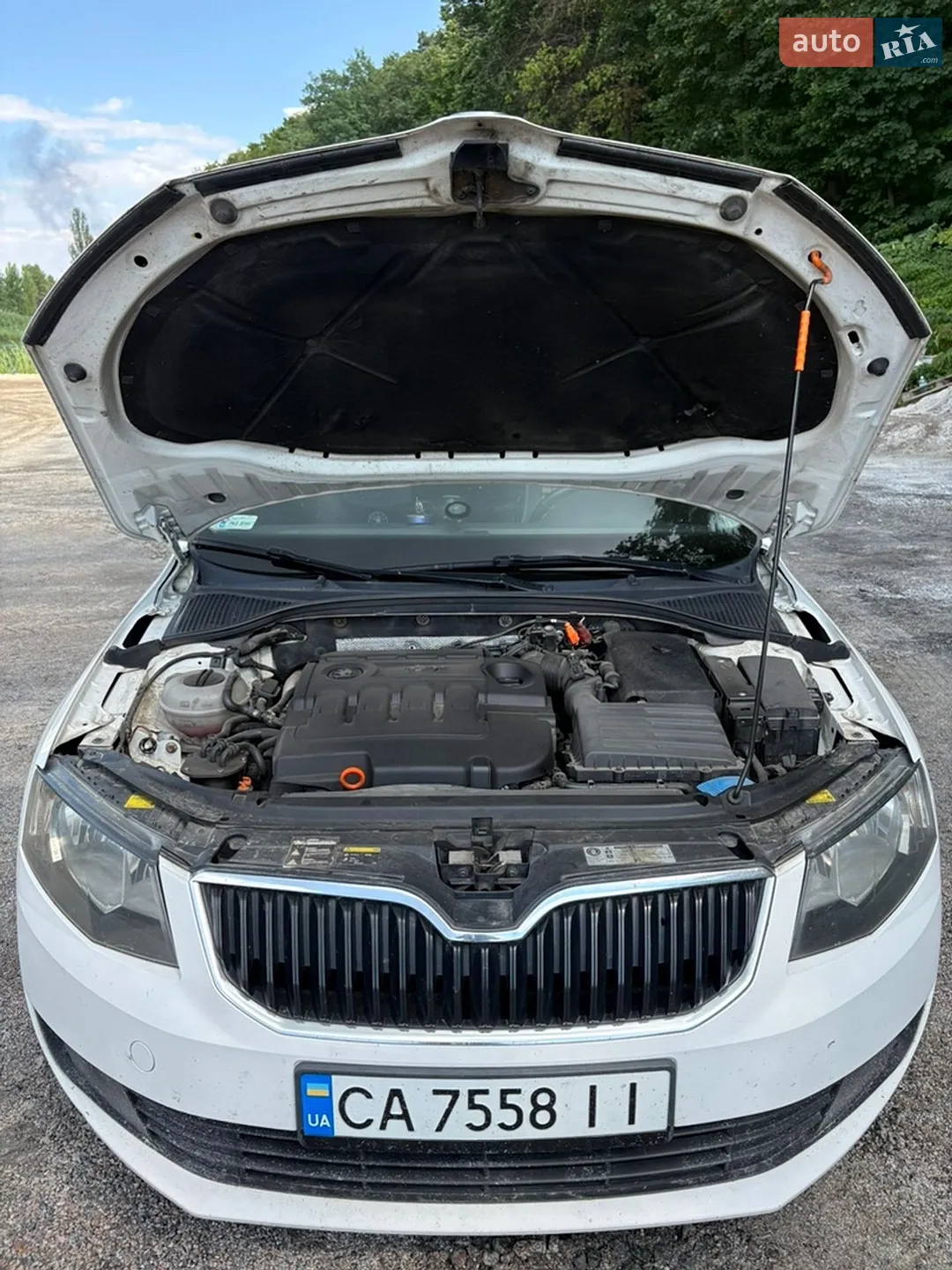 2013 Skoda Octavia - мініатюра 14