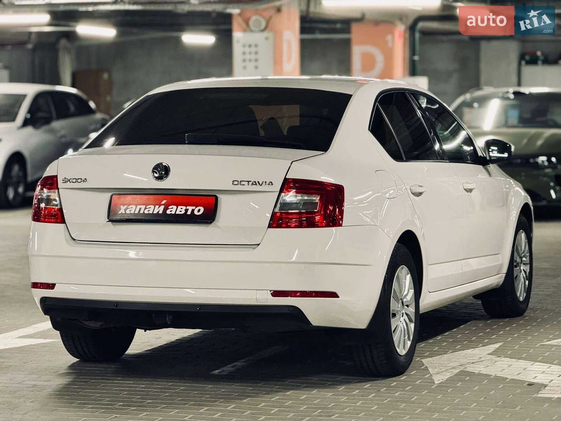 2019 Skoda Octavia - мініатюра 5