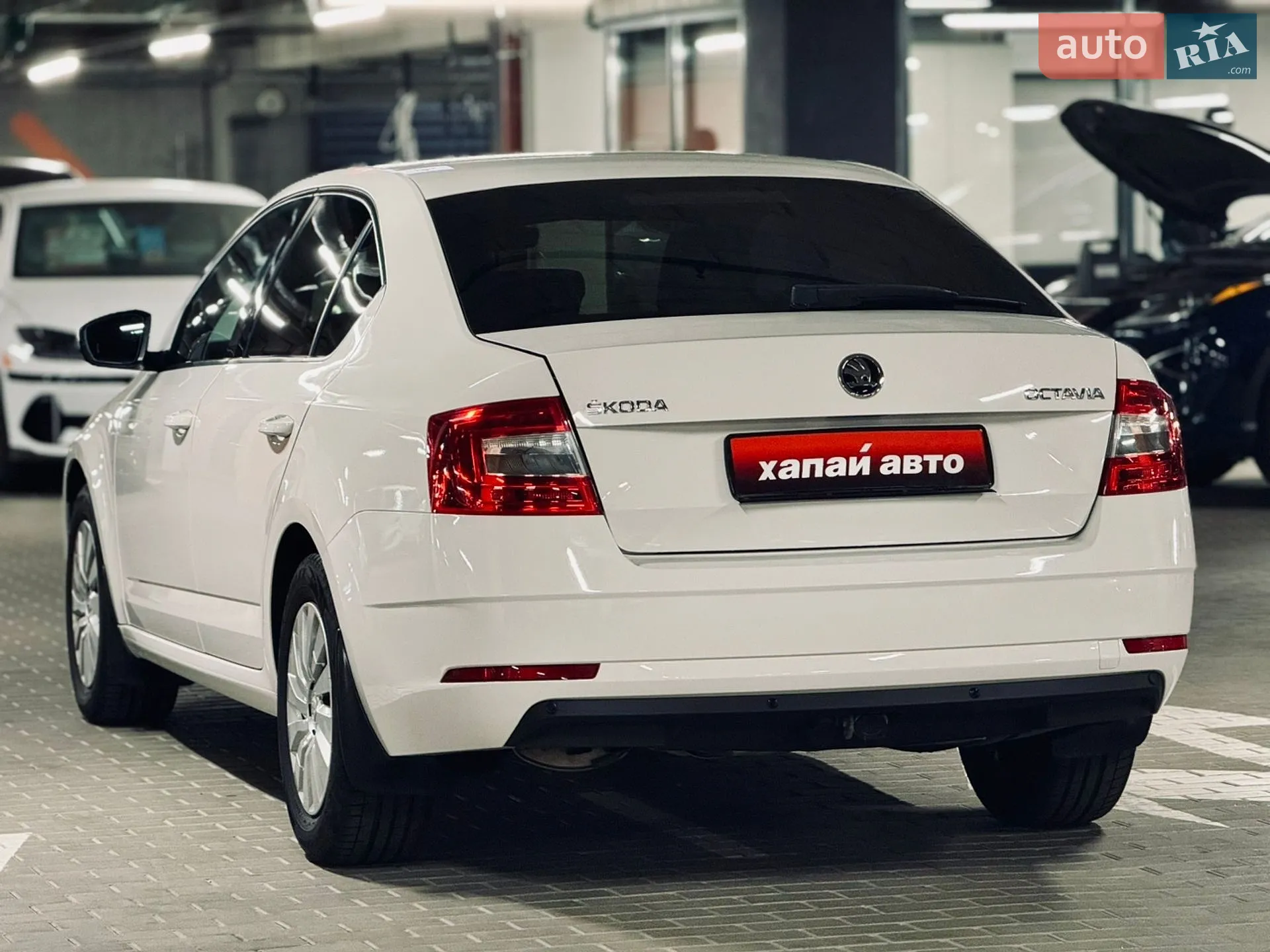 2019 Skoda Octavia - мініатюра 6